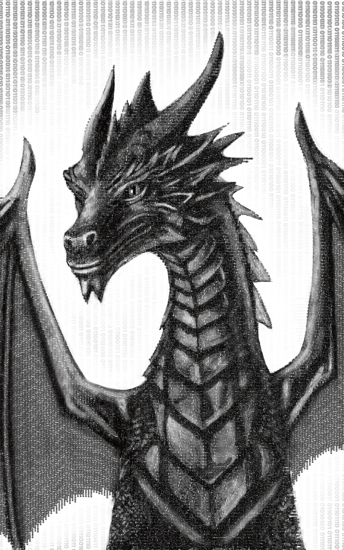 Code Dragon