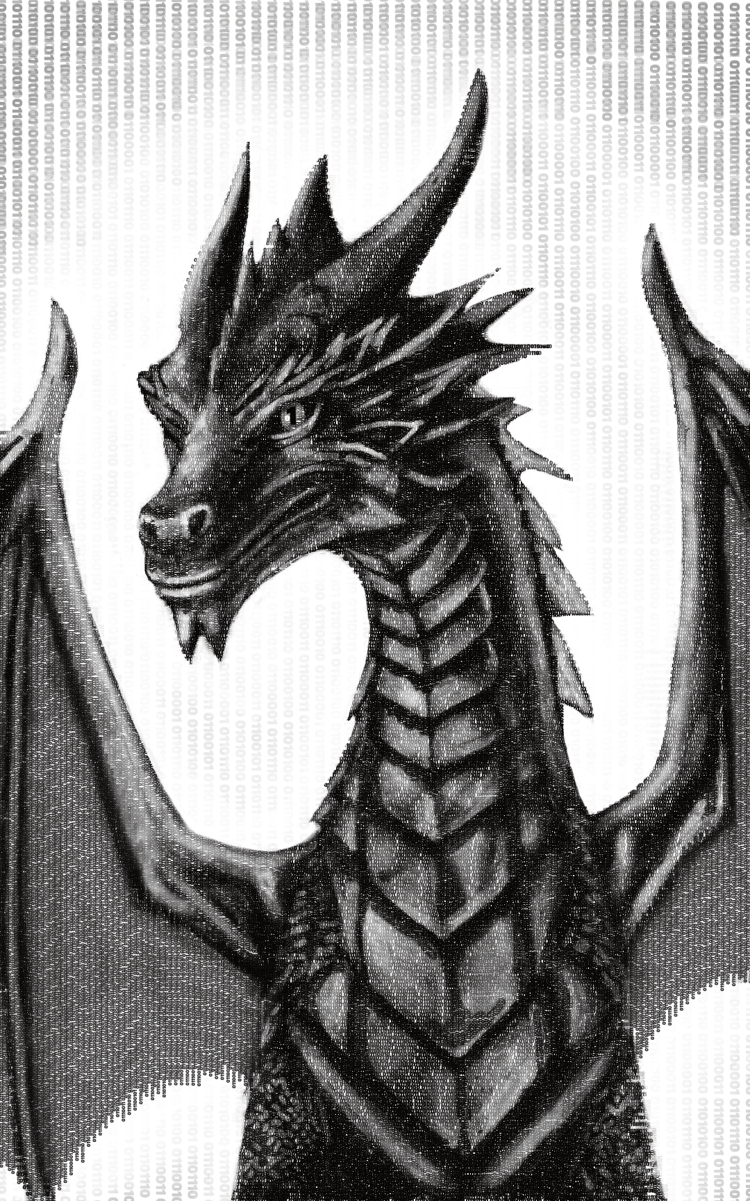 Code Dragon - Posters